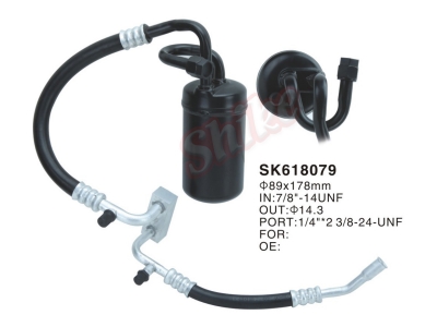 SK618079